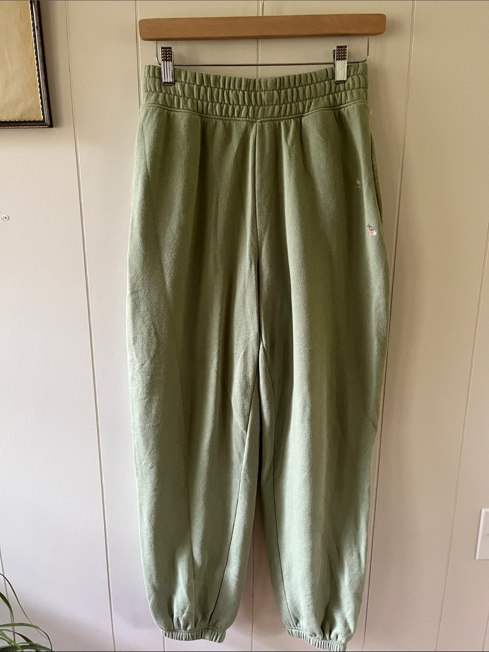 American Eagle Outfitters Sage Green Sweatpants